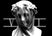 Veiled Innovations - Home